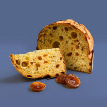 Carica l'immagine nel visualizzatore di Gallery, Panettone albicocca - Terra Candita