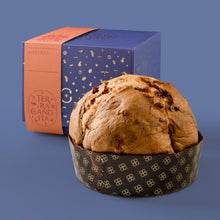 Carica l&#39;immagine nel visualizzatore di Gallery, Panettone albicocca - Terra Candita

