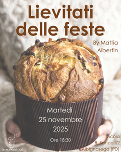 Lievitati delle feste - 25 novembre 2025
